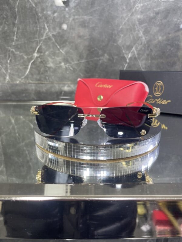 Cartier 300