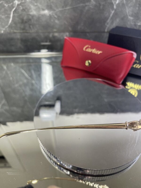 Cartier 300