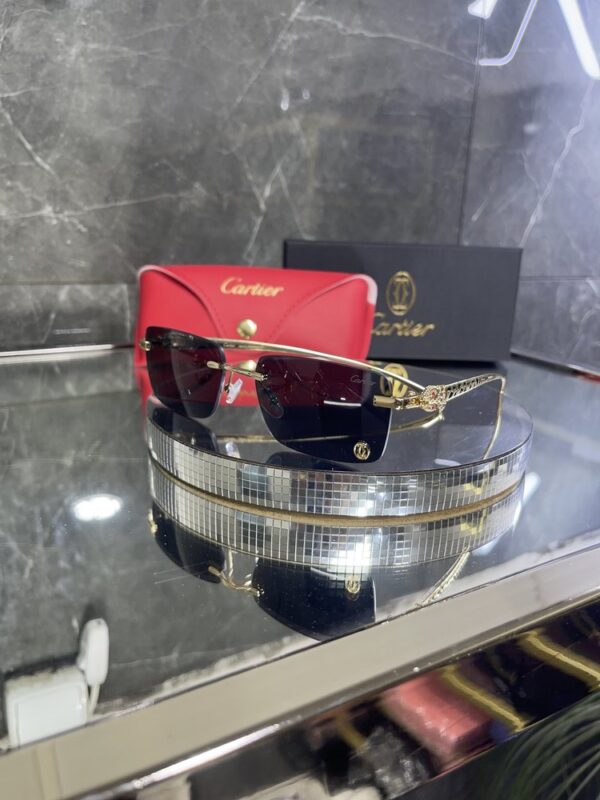 Cartier 300