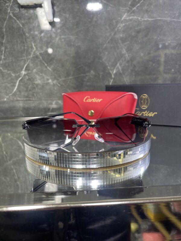Cartier Avanos Completed Black 432