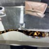 Miu Miu 381