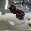 Gucci Oval Leopar Çerçeve Kahve cam 642