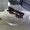 Tomford Cat Eyes Leopar çerçeve kahve cam 661