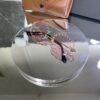 Chanel Oval pembe cam 654