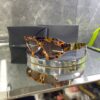 Valentino Üçgen Leopar Kemik Çerçeve Kahve cam 720