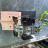 Miu Nocturne A50S Brown 746