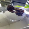 Gucci Leopar kemik çerçeve Kahve cam 764