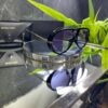 BOTTEGA VENETA BV1273S 003 Mavi cam 765